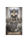 Небо і земля Таро Heaven & Earth Tarot