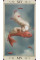 Таро Николетта Чекколи - Nicoletta Ceccoli Tarot