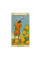 Таро Нью Вижн New vision tarot