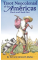 Неоколониальное Таро Америки Tarot Neocolonial de las Américas