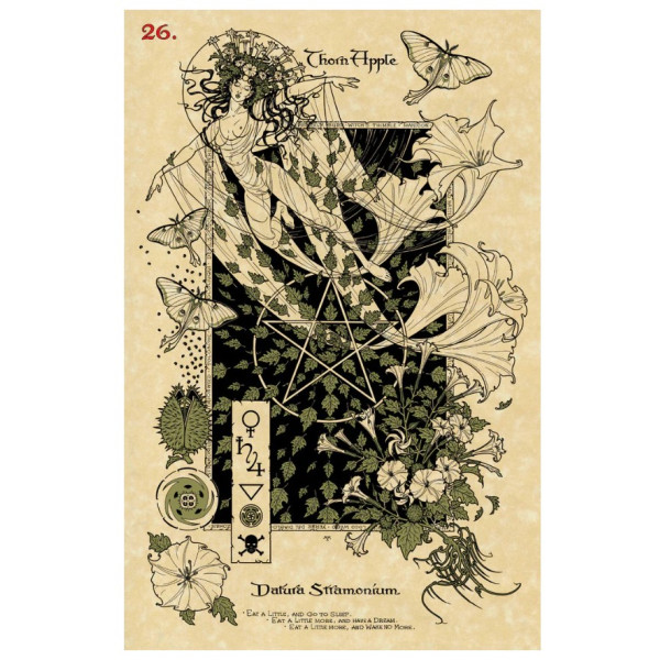 Очаровательный ботанический оракул The Magickal Botanical Oracle