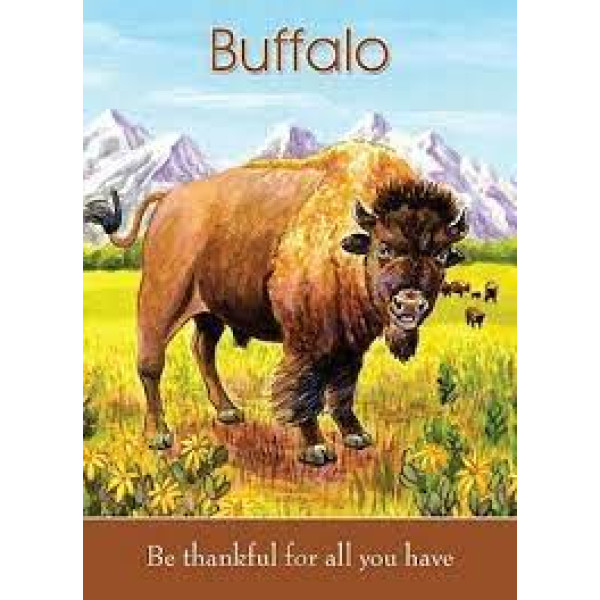 Детские карты Дух Животных  - Childrens Spirit Animal cards - Blue Angel