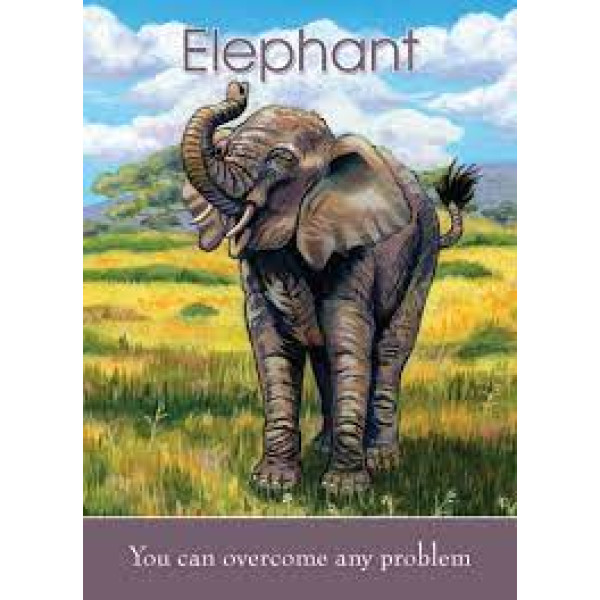 Детские карты Дух Животных  - Childrens Spirit Animal cards - Blue Angel