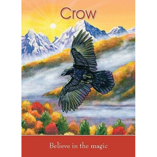 Детские карты Дух Животных  - Childrens Spirit Animal cards - Blue Angel