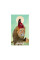 Таро Музы - The Muse Tarot. Hay House