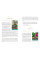 Steele Wizard Tarot: The Language of the Soul -Волшебное таро Стил: Язык души