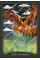 Guardian Of The Night Tarot - Таро Хранителя Ночи. Hay House