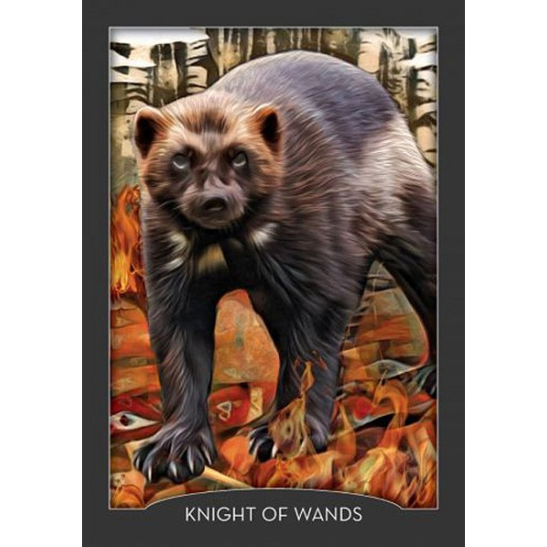 Guardian Of The Night Tarot - Таро Хранителя Ночи. Hay House