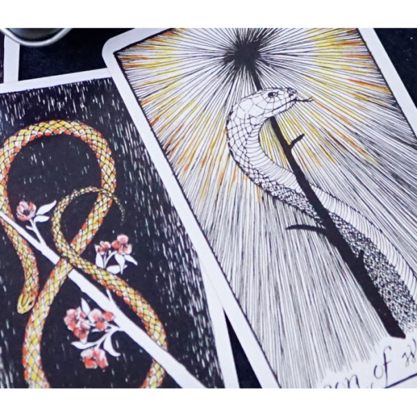 Карты Таро Дикое Неизвестное в металлической коробке | The Wild Unknown Tarot in a metal box