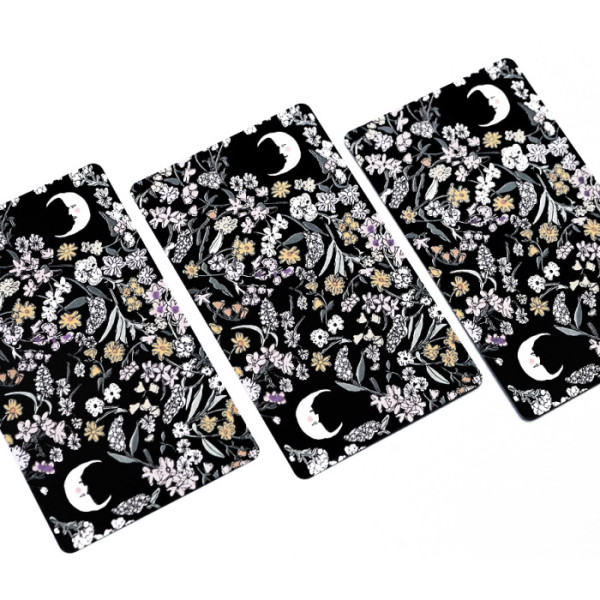 Карты Таро Карлотиды (Tarot de Carlotydes)
