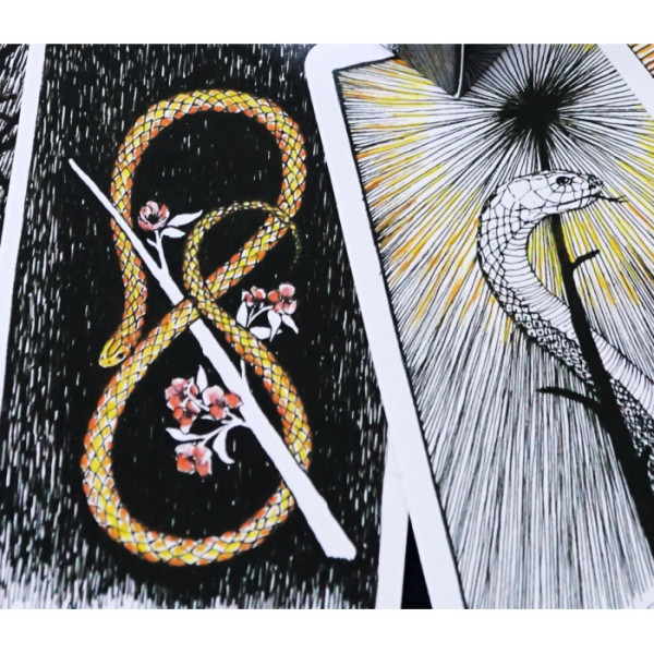 Таро Дикое Неизвестное Ким Кранс (The Wild Unknown Tarot)