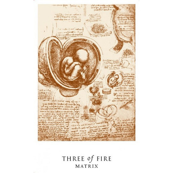 Карты Таро Загадка да Винчи - The Da Vinci Enigma Tarot Book Set. Schiffer Publishing