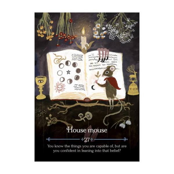 Карты Оракул Время года ведьмы Имболк - Seasons of the Witch. Imbolc Oracle. Rockpool Publishing