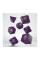 Кубики RPG CATS Dice Set: Purrito. Q WORKSHOP