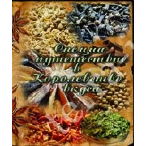 Специи. Путешествие в Королевство вкуса