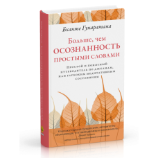 Больше, чем осознанность простыми словами Простой и понятный путеводитель по джханам, или глубоким медитативным состояниям Бханте Хенепола Гунаратана