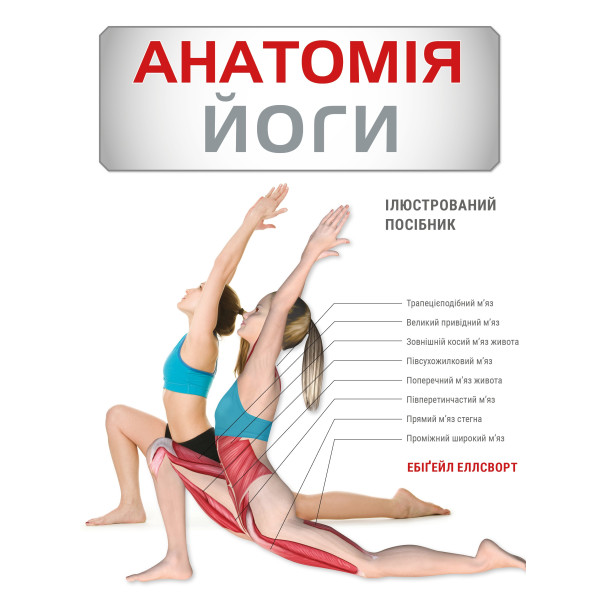 Книга Анатомия йоги. Иллюстрированное руководство Эбигейл Эллсворт