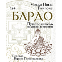 Бардо. Путеводитель по жизни и смерти. Чокьи Ринпоче