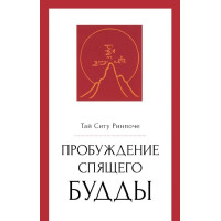 Книга Пробуждение спящего будды. Тай Ситу Ринпоче