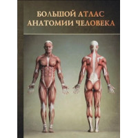 Книга Большой атлас анатомии человека. Перез В.