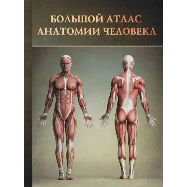 Книга Большой атлас анатомии человека. Перез В.