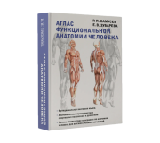 Оздоровлення